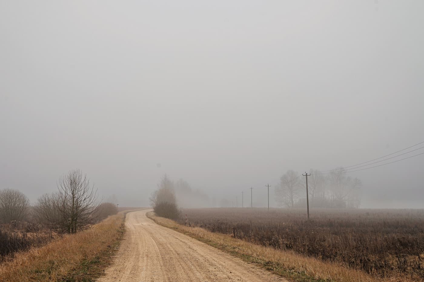 Strada di campagna che si perde nella nebbia, come un sito che nessuno trova