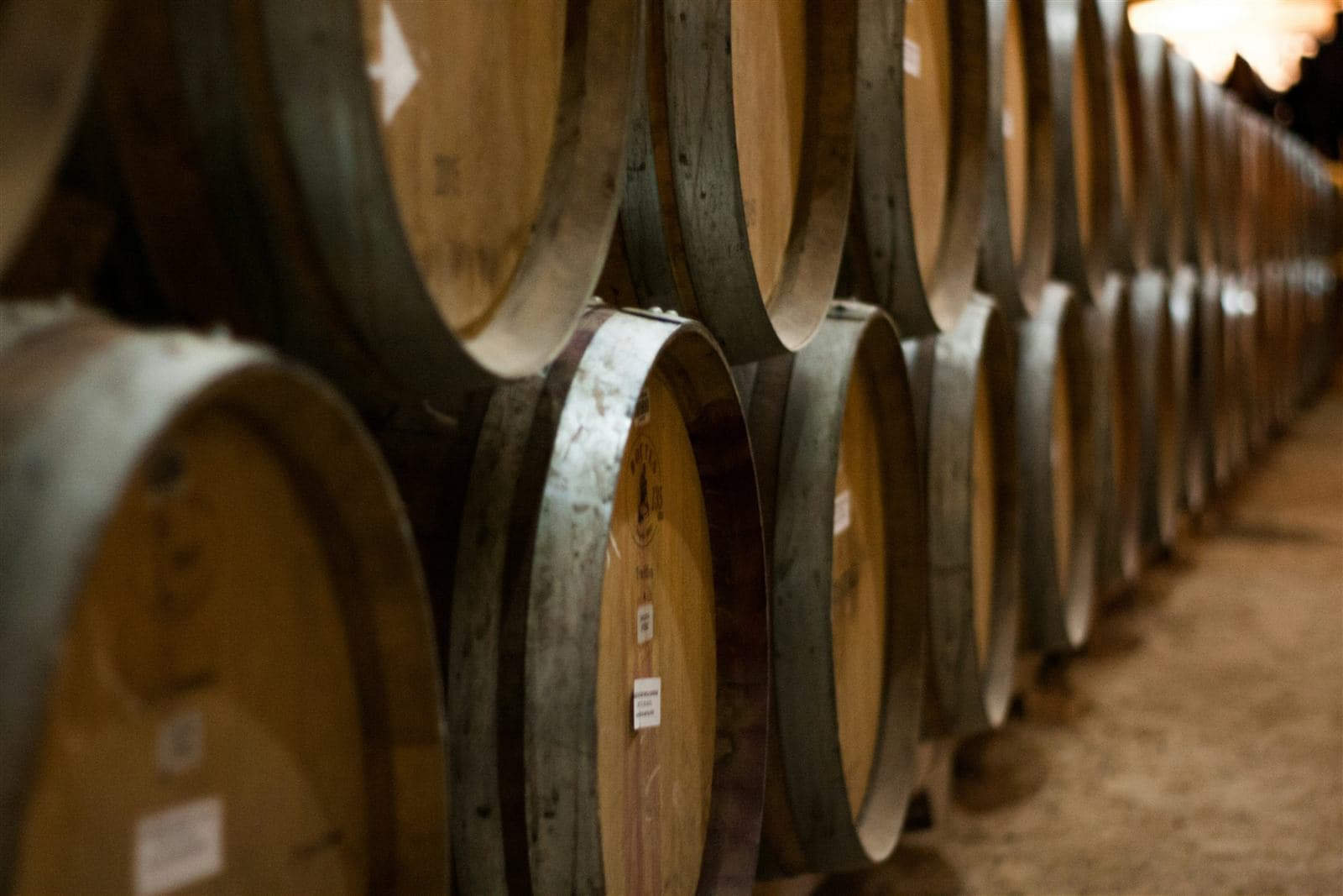 Botti di rovere in una cantina, luce calda