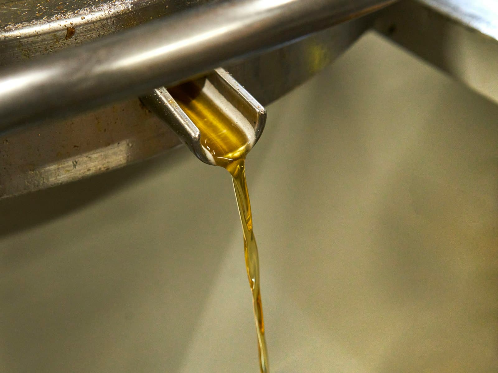 Olio extravergine appena spremuto che scende dal frantoio