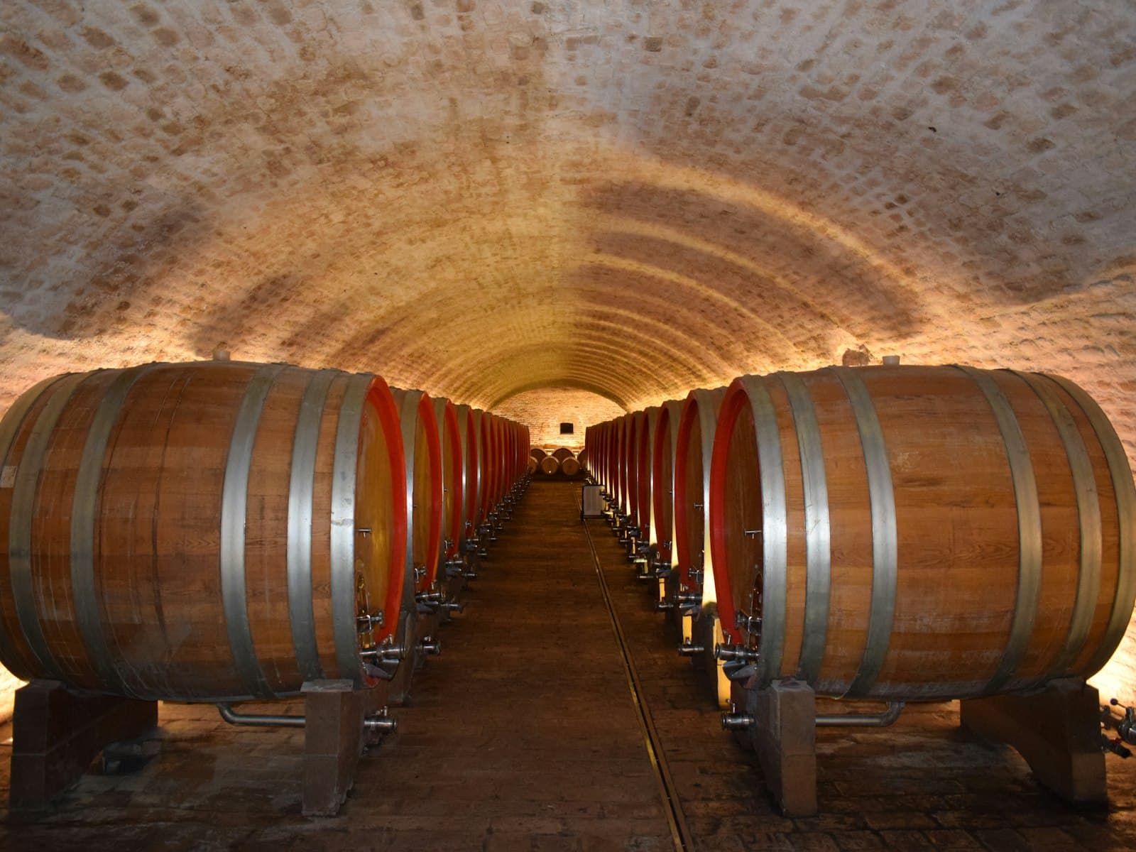 Cantina storica con volta in pietra e file di botti in affinamento